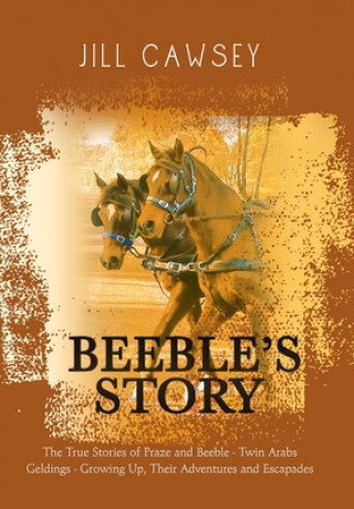 Carte Beeble's Story Cawsey Jill Cawsey