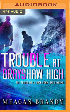 Digital Trouble at Brayshaw High Stephen Dexter