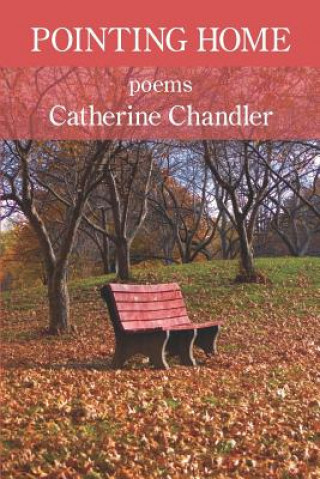 Kniha Pointing Home Catherine Chandler