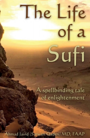 Kniha The Life of a Sufi 