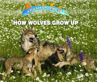 Kniha How Wolves Grow Up Linda Bozzo