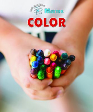 Kniha Color Rebecca Kraft Rector