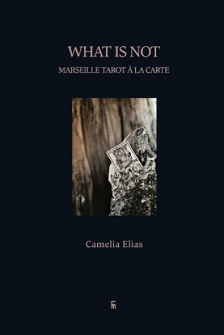 Kniha What is not Elias Camelia Elias