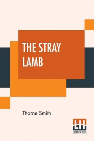 Книга Stray Lamb THORNE SMITH