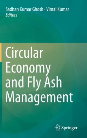 Könyv Circular Economy and Fly Ash Management Vimal Kumar