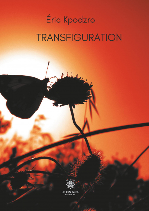 Knjiga Transfiguration 