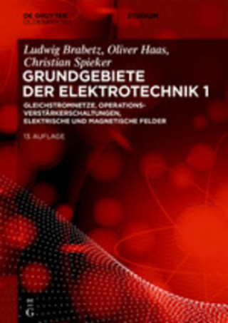 Kniha Gleichstromnetze, Operationsverstarkerschaltungen, elektrische und magnetische Felder Oliver Haas