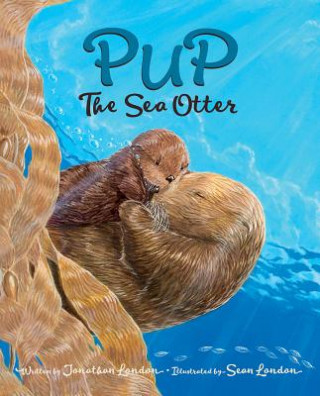 Könyv Pup the Sea Otter Jonathan London
