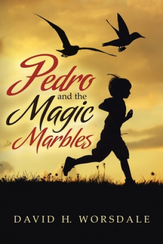 Kniha Pedro and the Magic Marbles DAVID H. WORSDALE