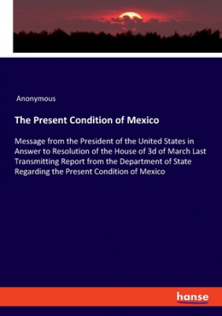 Carte Present Condition of Mexico Anonym