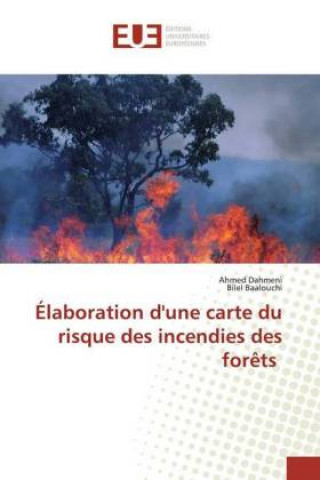 Kniha Élaboration d'une carte du risque des incendies des for?ts Bilel Baalouchi