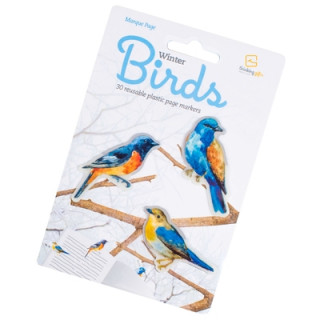 Juego/Juguete Stikki Marks Winter Birds 