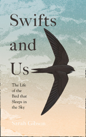 Carte Swifts and Us Sarah Gibson