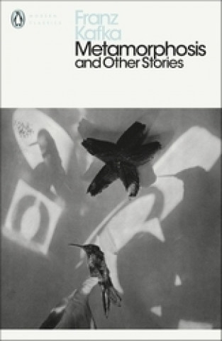 Kniha Metamorphosis and Other Stories Franz Kafka
