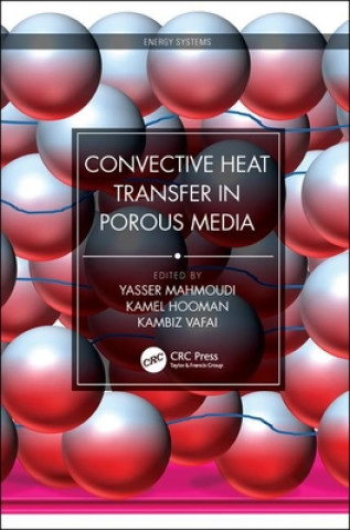 Kniha Convective Heat Transfer in Porous Media 