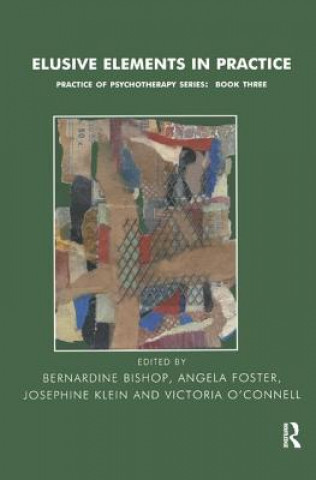 Buch Elusive Elements in Practice Angela Foster