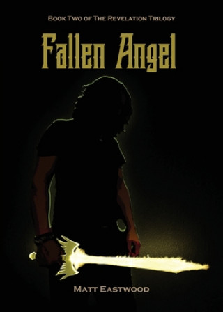 Knjiga Fallen Angel Matt Eastwood