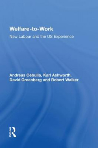 Knjiga Welfare-to-Work Andreas Cebulla