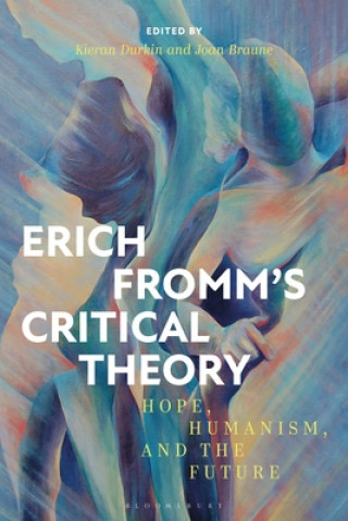 Buch Erich Fromm's Critical Theory BRAUNE JOAN