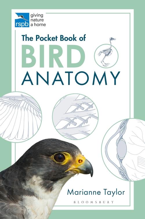 Kniha Pocket Book of Bird Anatomy TAYLOR MARIANNE