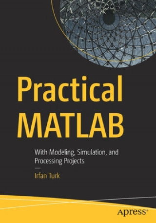 Könyv Practical MATLAB Irfan Turk