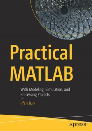 Książka Practical MATLAB Irfan Turk