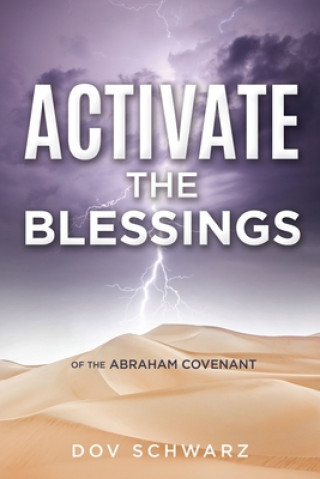 Könyv Activate the Blessings DOV SCHWARZ