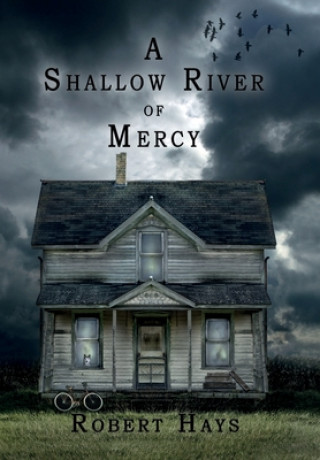 Kniha Shallow River of Mercy 