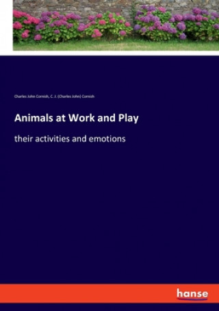 Kniha Animals at Work and Play C. J. (Charles John) Cornish