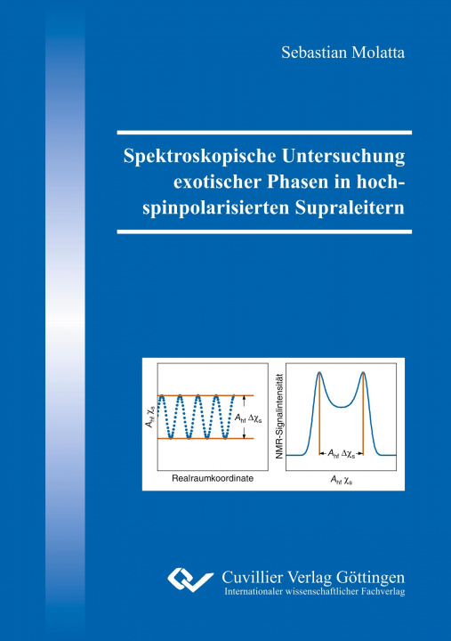 Kniha Spektroskopische Untersuchung exotischer Phasen in hochspinpolarisierten Supraleitern 