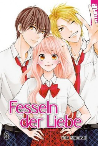 Kniha Fesseln der Liebe 06 Yuki Shiraishi