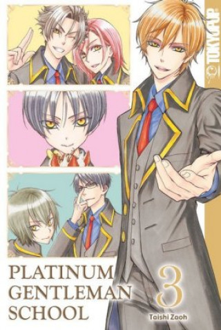 Kniha Platinum Gentleman School 03 Taishi Zaoh