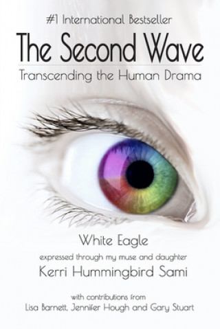 Könyv The Second Wave: Transcending the Human Drama Lisa Barnett