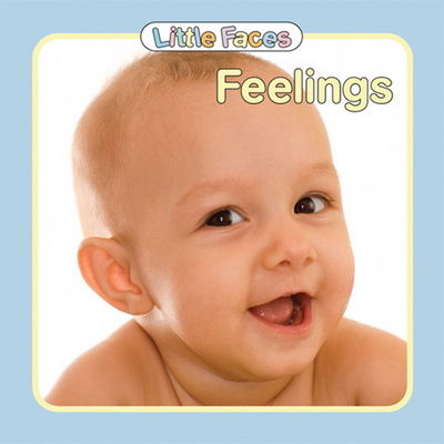 Knjiga Feelings Paige Satterly