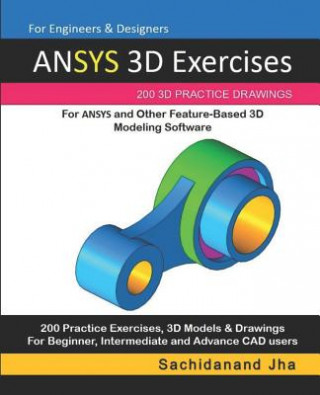 Könyv ANSYS 3D Exercises Sachidanand Jha