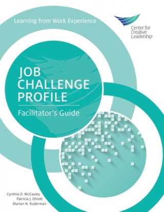 Knjiga Job Challenge Profile Patricia J. Ohlott