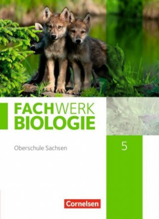 Kniha Fachwerk Biologie - Sachsen. 5. Schuljahr - neuer Lehrplan - Schülerbuch - Neubearbeitung Ulrike Dörflinger