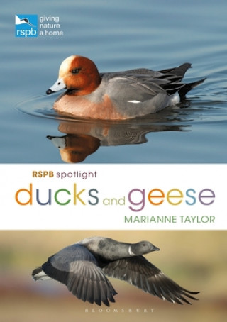 Kniha RSPB Spotlight Ducks and Geese 
