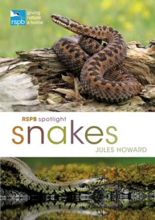 Книга RSPB Spotlight Snakes 