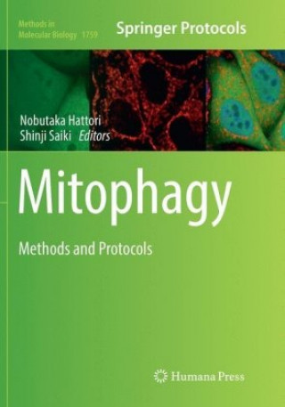 Libro Mitophagy Shinji Saiki