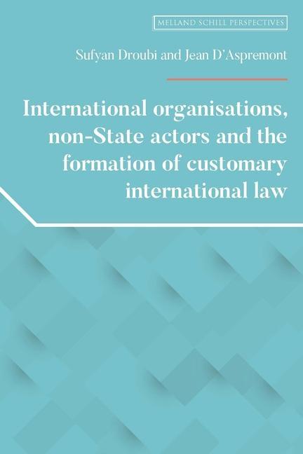 Kniha International Organisations, Non-State Actors, and the Formation of Customary International Law 