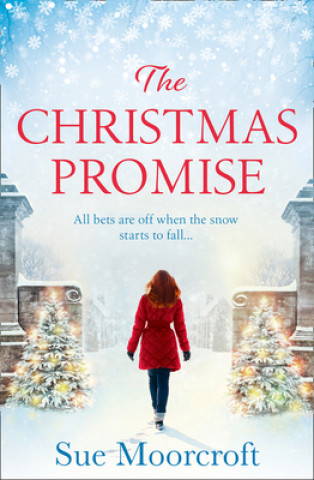 Könyv Christmas Promise SUE MOORCROFT