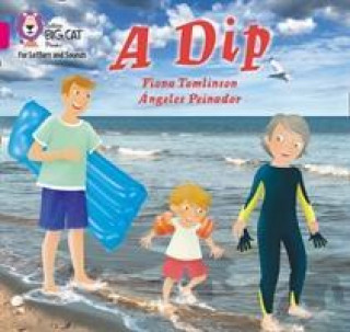 Libro Dip Fiona Tomlinson