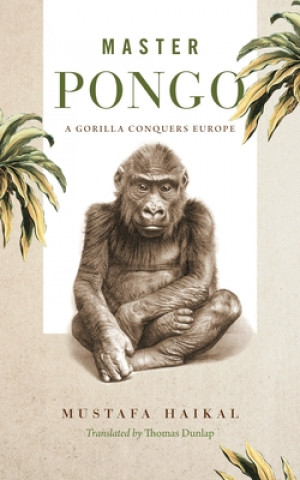 Carte Master Pongo Mustafa Haikal