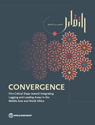 Книга Convergence Somik V. Lall