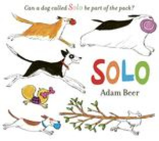 Carte Solo ADAM BEER