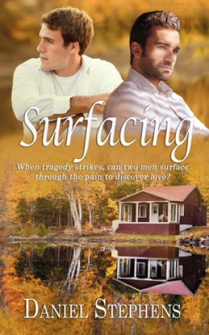 Boek Surfacing Daniel Stephens