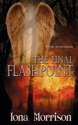 Book Final Flashpoint Iona Morrison