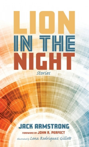 Buch Lion in the Night Jack Armstrong
