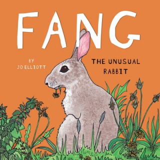 Kniha Fang - The Unusual Rabbit 